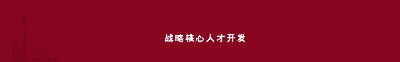 战略核心人才开发